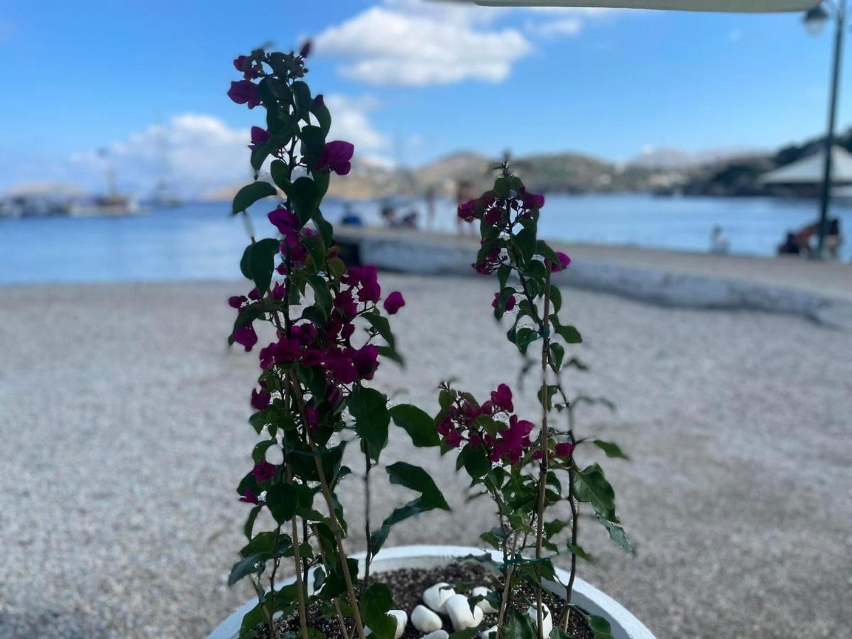 Ονειρόπετρα Λέρος~Oneiropetra Leros Lejlighed Panteli Eksteriør billede